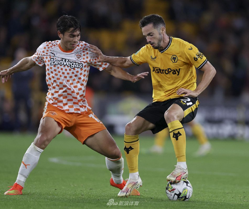 未来角色 未来角色